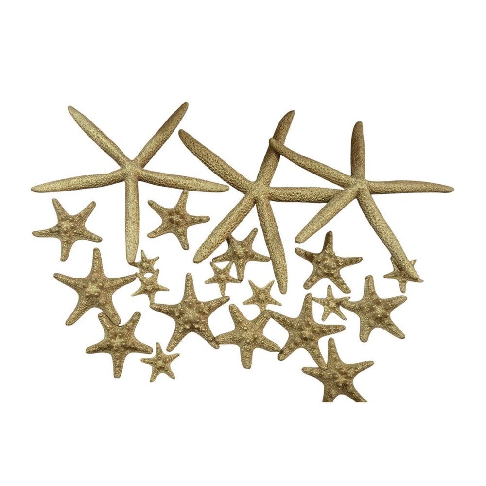 Starfish beach decor‎ gold painted lot wedding home  various sizes